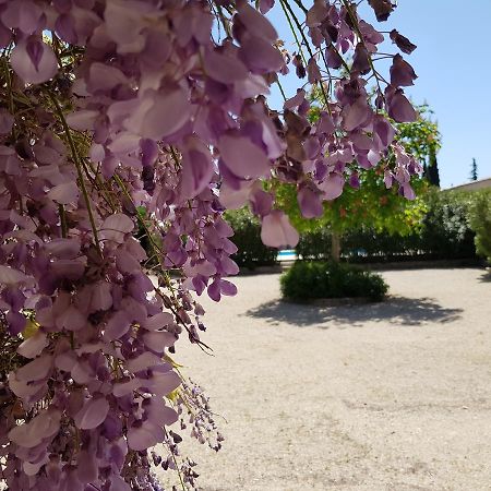 La Pastorale Bed & Breakfast Lagnes ภายนอก รูปภาพ